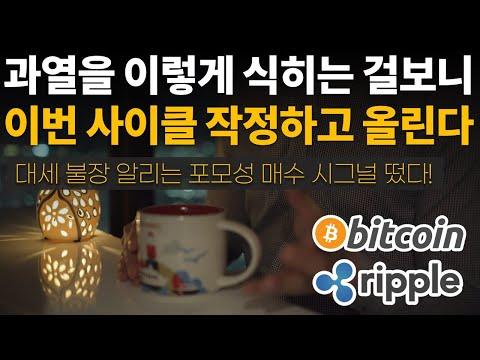 비트코인 시장 하락에 대한 전략적 분석과 투자 가이드