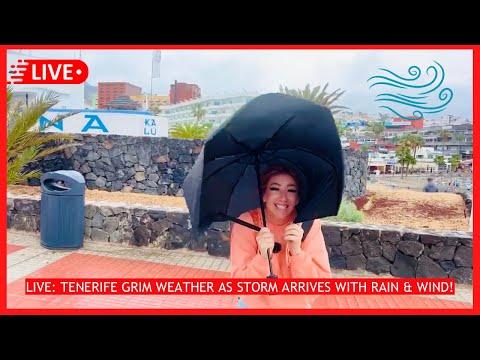 Exploring South Tenerife: Weather, Entertainment, and Local Recommendations