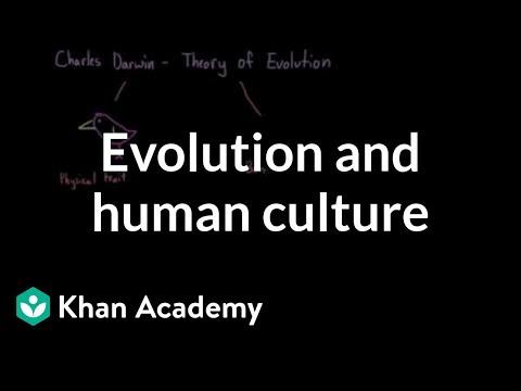 Understanding Cultural Evolution and Human Adaptation