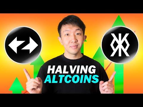 Unlocking the Potential of ZK Sync and Ruins Protocol Post Bitcoin Halving