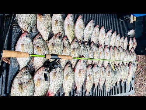 Unbelievable Creek Crappie Fishing: 50 Caught with Lethal Double Jig Rig!