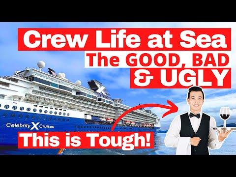 Discover the Joys and Challenges of Working on a Cruise Ship