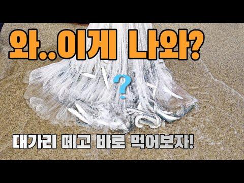 투망 낚시로 대멸치를 잡아보자! 🎣