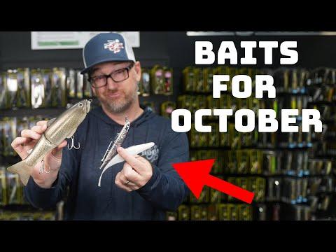 Mastering October Fishing: Tips and Techniques for Success 🎣