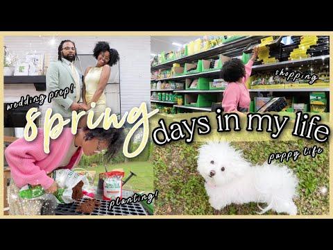 Spring Wedding Prep and Gardening Vlog: A Cozy Day in My Life