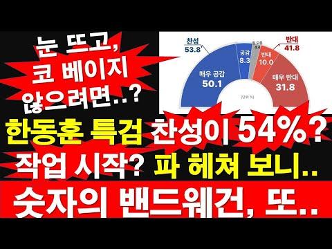 한동훈 특검 찬성 여론 조사 결과 및 이슈에 대한 분석