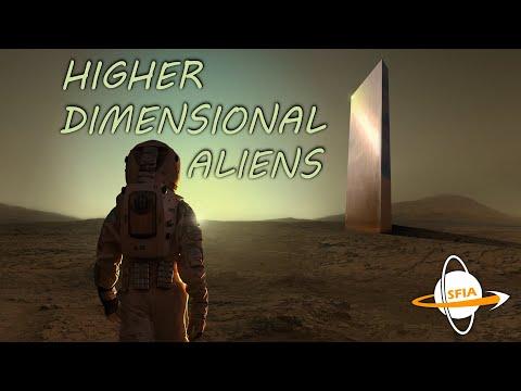 Exploring Life in Higher Dimensions: Beyond the 3D Universe