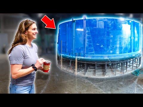 Unveiling the Spectacular Legacy Aquarium Shark Tank