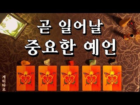 [타로] 미래에 대한 흥미진진한 예언과 인사이트