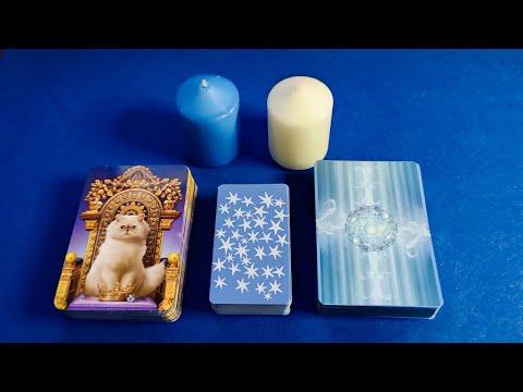 Unlocking Spiritual Insights: A Tarot Reading Journey