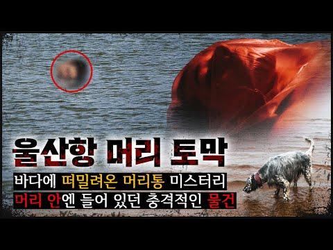 울산항 머리 사건: 이씨와 윤씨의 이상한 관계