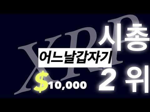 리플과 XRP: 디지털 자산의 미래를 이끄는 혁신