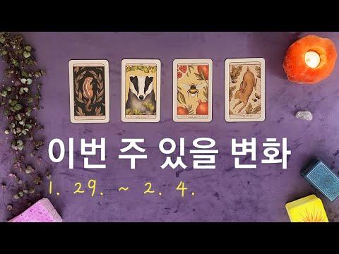 [타로/주간운세] 2월 첫째 주 종합운(1. 29. ~ 2. 4.)