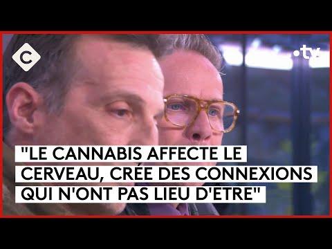 La consommation de cannabis chez les jeunes en France : prévention, répression et légalisation