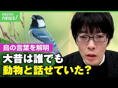 鈴木さんの鳥の鳴き声研究：自然の言葉を解明する可能性