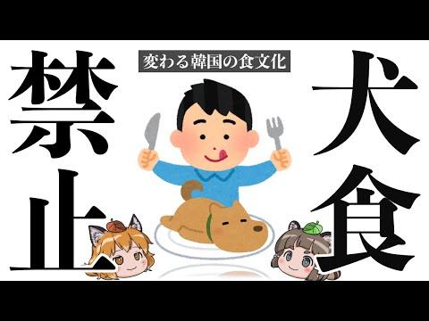 【韓国】犬食文化の消滅：歴史、現状、そして未来