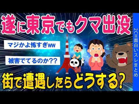 東京でクマ出没！対処方法と注意点【最新情報】