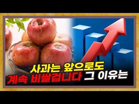 한국 사과 폭등 현상에 대한 이유와 대책