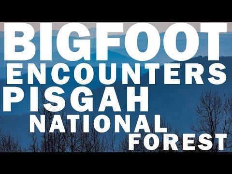Unveiling the Mysterious Bigfoot Encounters in Pisgah National Forest