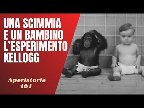 L'esperimento Kellogg: un confronto tra un bambino e uno scimpanzé