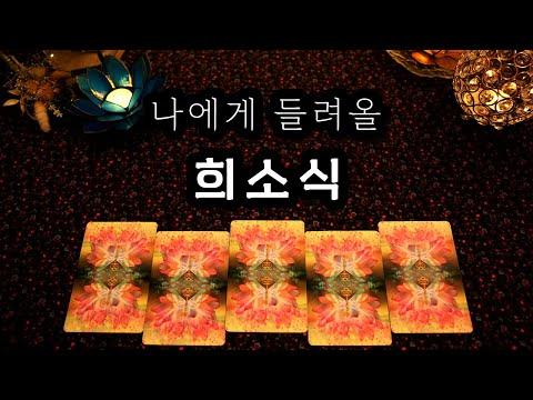 [타로] 나에게 들려올 희소식