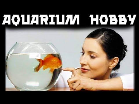 The Fascinating World of Soviet Union Aquariums: A Peek into a Unique Hobby