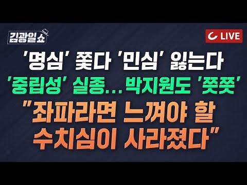 한국 정치 뉴스 요약 및 분석