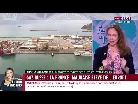 La dépendance de la France au gaz russe : enjeux et controverses