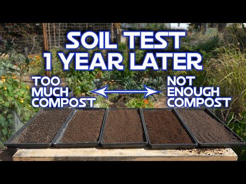 Optimizing Soil Health: A Comprehensive Guide to Understanding and Improving Your Garden Soil