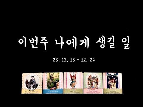 [타로] 이번주 나의 일과 사랑🎁