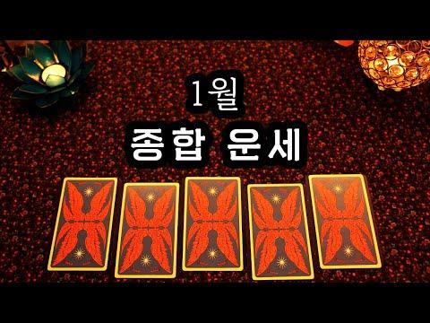 [타로] 1월 종합 운세 - 새해 도전과 시작의 기운을 느껴보세요!