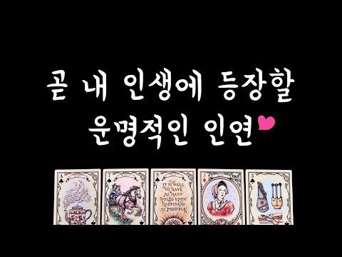 [타로] 운명적인 인연🌟외모, 성격, 직업, 별자리, 만남시기