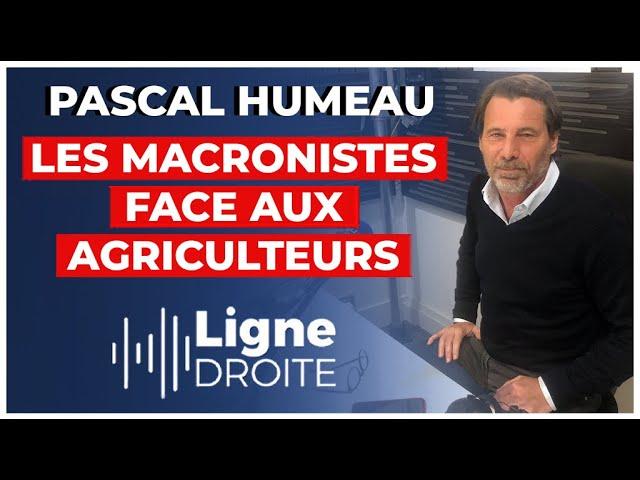 Analyse approfondie de la communication politique au Salon de l'agriculture avec Pascal Humeau