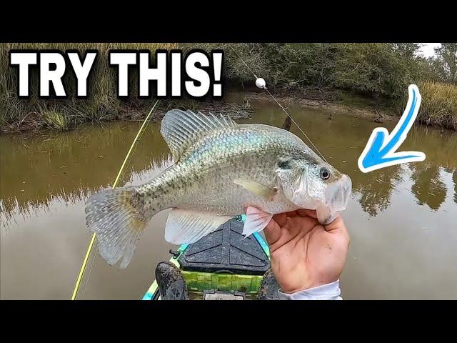 Mastering Creek Crappie Fishing: Tips and Techniques
