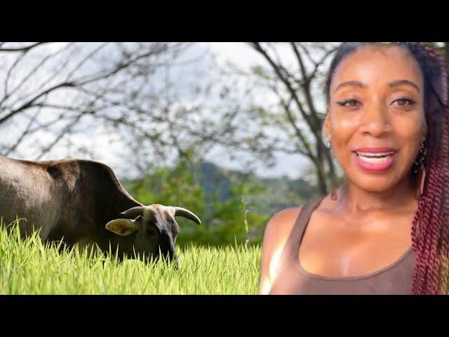The Joy of Farming: A YouTuber's Journey to Sustainable Living