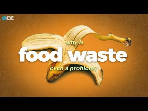 Addressing Food Waste: A Comprehensive Guide to Reducing Environmental Impact