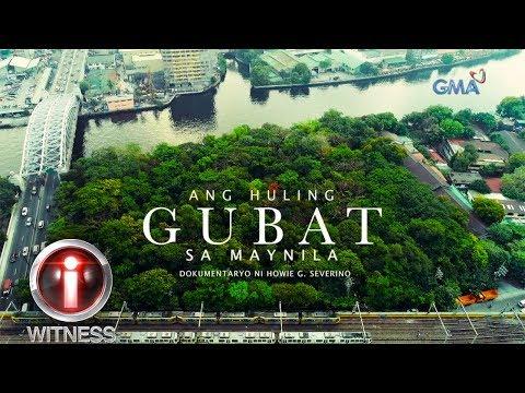 Exploring Urban Development and Green Spaces in Metro Manila