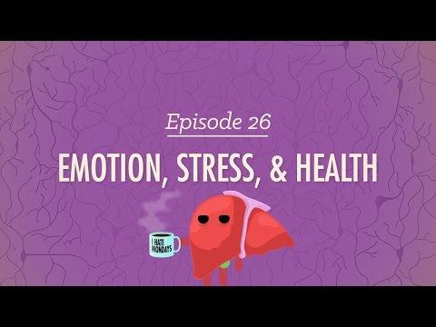 The Surprising Link Between Emotions and Health