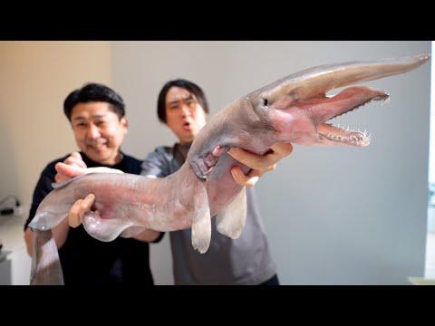 10万円する激レア魚【ミツクリザメ】をへんおじとさばいて食べたらまさかの味に驚愕