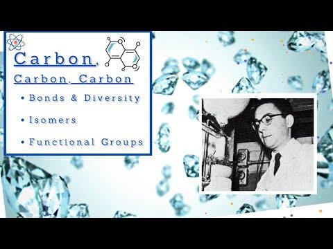 Biology 101 (BSC1010) Chapter 4 - Carbon and the Molecular Diversity of Life