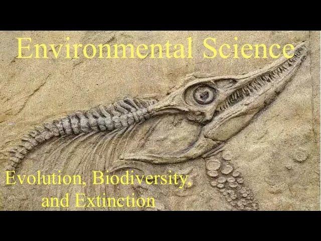 Unraveling the Fabric of Life: Evolution, Extinction, and Biodiversity