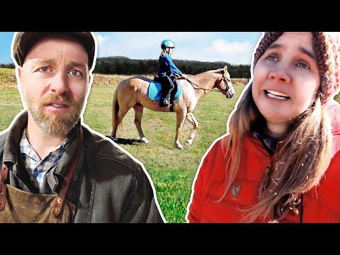 Transforming a Barn into a Horse Homestead: Lily's Journey