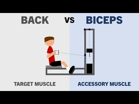 Maximizing Muscle Growth: The Role of Accessory Muscles in Strength Training