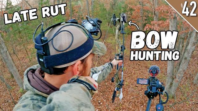 Mastering the Art of Deer Hunting: Tips from a Seasoned Hunter