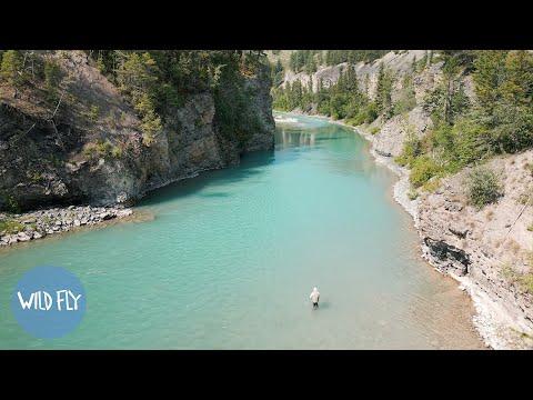 Exploring the Canadian Rockies: A Fishing Adventure