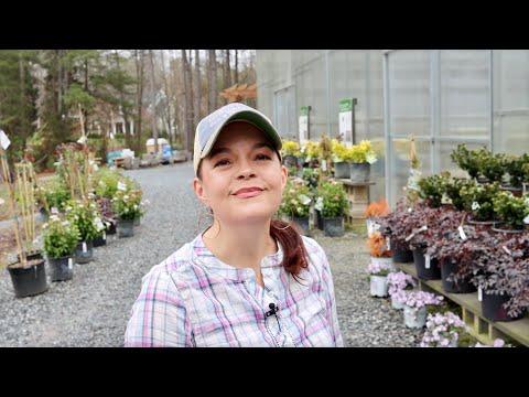 Spring Gardening Tips: Flowers In February Nursery Tour
