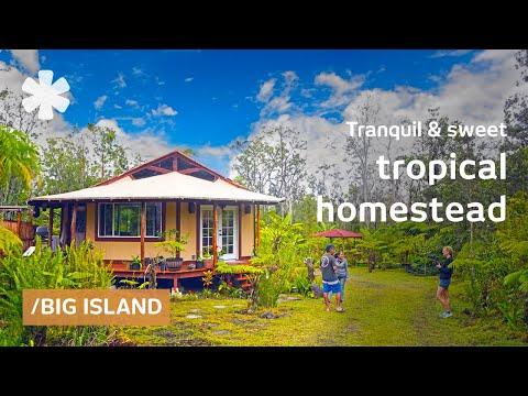 Living Off-Grid in Konasoon: A Sustainable and Secluded Paradise