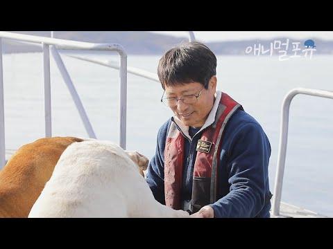 Sailing Family and Dog: A Heartwarming Tale of Love and Adventure