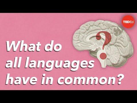 Unraveling the Mystery of Universal Grammar: A Linguistic Journey