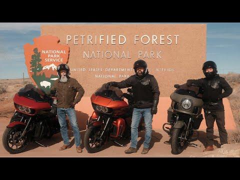 Exploring the Petrified National Forest on a Winter Motorcycle Road Trip